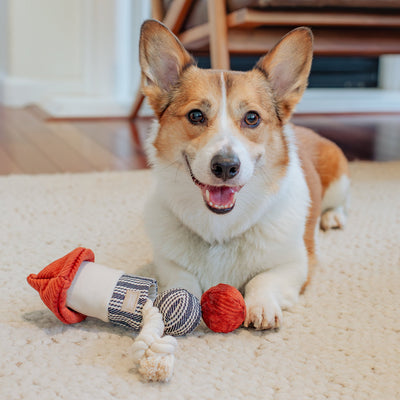 Lambwolf Rocket Confetti Pop Pet Toys