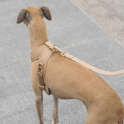 [PRE-ORDER] Pups & Bubs Roam Luxe Harness (Desert) - Pet Collars & Harnesses - Pups & Bubs - Shop The Paw