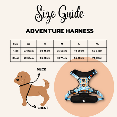 [PRE-ORDER] Disney Pixar Adventure Harness | Toy Story Slinky Dog - Pet Collars & Harnesses - Disney/Pixar - Shop The Paw