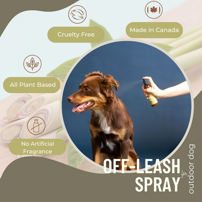 Black Sheep Organics Lemongrass & Mint Organic Off-Leash Spray