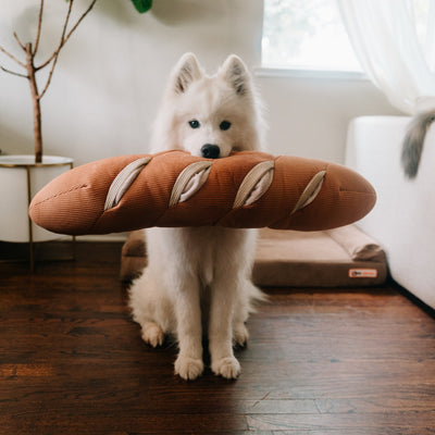 Lambwolf Giant Baguette Pet Toys