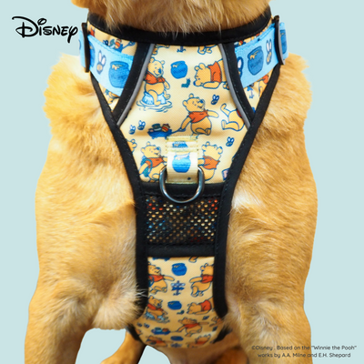 Disney Adventure Harness | Winnie The Pooh - Pet Collars & Harnesses - Disney/Pixar - Shop The Paw