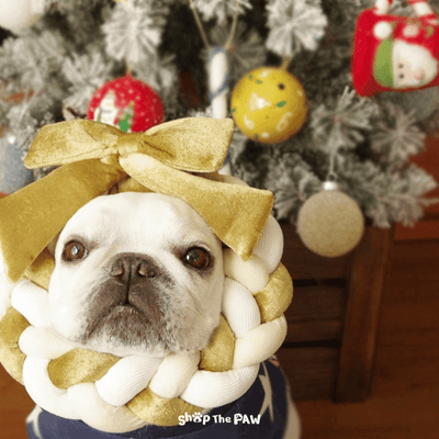 Bailey Christmas Gold Wreath | Large - Dog Toys - Bailey - Shop The Paw