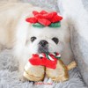 Bailey Christmas Bell and Poinsettia | Small - Dog Toys - Bailey - Shop The Paw