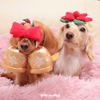 Bailey Christmas Bell and Poinsettia | Small - Dog Toys - Bailey - Shop The Paw