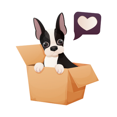 Shopthepaw Mystery Box - mystery boxwa - shopthepaw - Shop The Paw