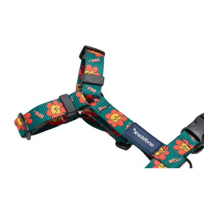 andblank® Graphic H Harness - Flower Lion Green | Accessories | andblank - Shop The Paws