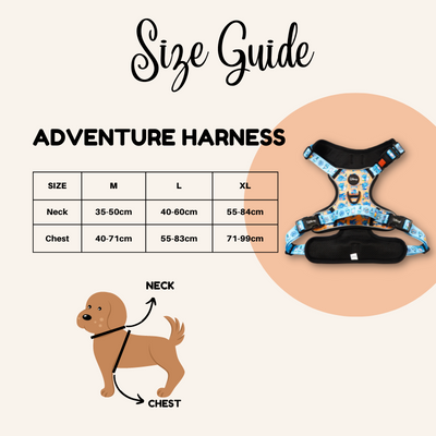 Disney Adventure Harness | Winnie The Pooh - Pet Collars & Harnesses - Disney/Pixar - Shop The Paw