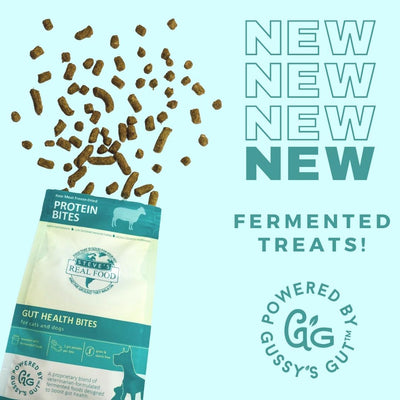 Steve's Real Food Freeze Dried Fermented Gut Health Treats - Lamb Protein Bites - Dog Treats - Steve's Real Food - Shop The Paw