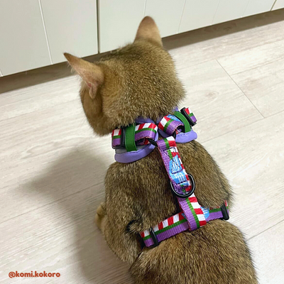 Pixar Adjustable Harness | Buzz Lightyear - Pet Collars & Harnesses - Disney/Pixar - Shop The Paw