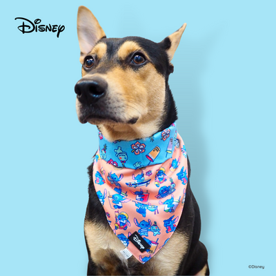 Disney Reversible Bandana | Foodie Stitch - Dog Apparel - Disney/Pixar - Shop The Paw