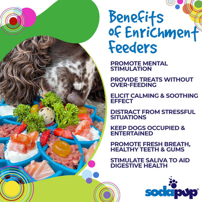 Sodapup - eTray (Enrichment Tray) - Mandala Blue - Toys - Sodapup - Shop The Paw