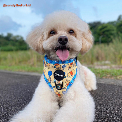 Disney Adjustable Harness | Winnie The Pooh - Pet Collars & Harnesses - Disney/Pixar - Shop The Paw