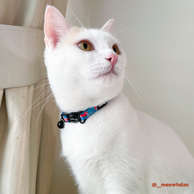 Disney Cat Collar | Ariel The Little Mermaid - Aqua - Pet Collars & Harnesses - Disney/Pixar - Shop The Paw