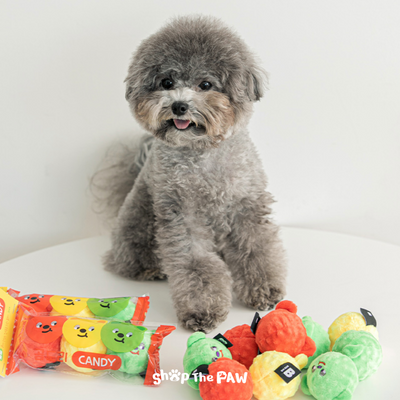 Bite Me - Bears Candy Ball (Set of 3) Dog Toy | Toys | BiteMe - Shop The Paws