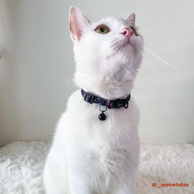 Pixar Cat Collar | Buzz Lightyear - Black - Pet Collars & Harnesses - Disney/Pixar - Shop The Paw