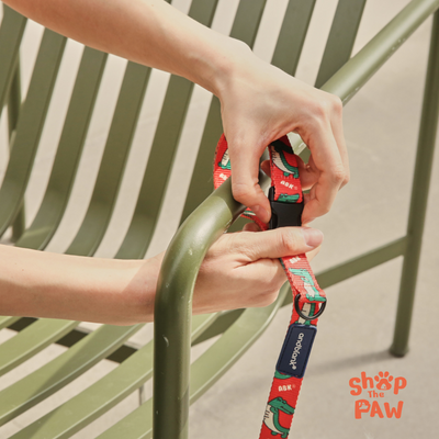 andblank® Graphic H Harness - Flower Lion Green | Accessories | andblank - Shop The Paws