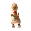 Fringe Studio Cookie Saurus Rex Plush Dog Toy - Toys - Fringe Studio - Shop The Paw