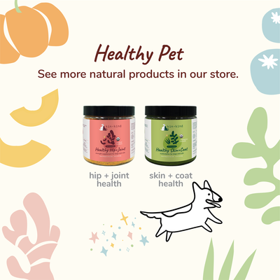 Kin+Kind Healthy Poops Dog and Cat Supplement [NEW LOOK] - Supplement - Kin+Kind - Shop The Paw