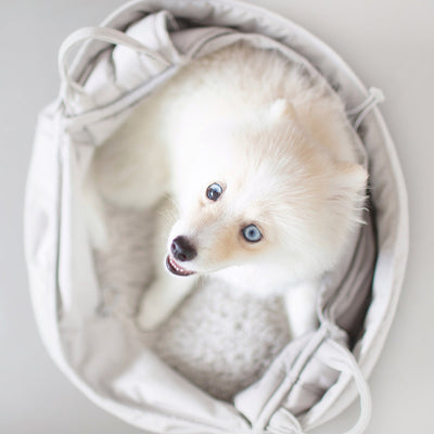 Lambwolf OLLA / Petite Pet Carrycot - Toys - Lambwolf - Shop The Paw