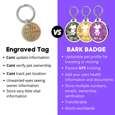 Bark Badge Hearts n Crown Badge - Pet ID Tags - BARK BADGE - Shop The Paw