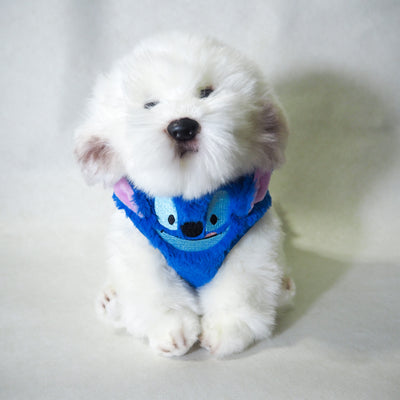 [Pre-Order] Disney Adjustable Harness | Furry Stitch - Pet Collars & Harnesses - Disney/Pixar - Shop The Paw