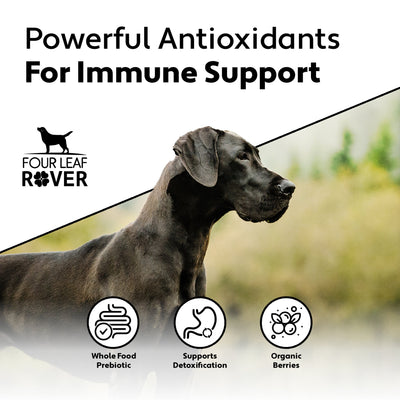 Four Leaf Rover Red Rover Organic Berries for Dogs - Supplement - Four Leaf Rover - Shop The Paw