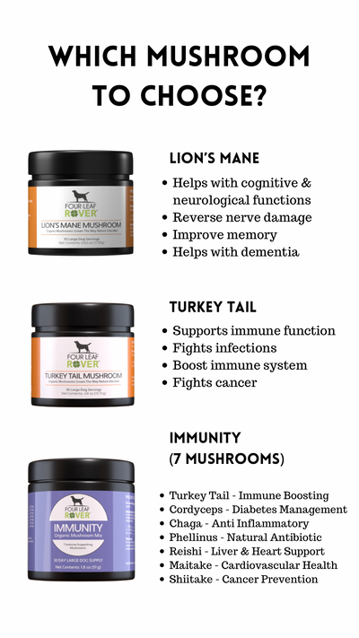 Four Leaf Rover Immunity Organic Mushroom Blend - Supplement - Four Leaf Rover - Shop The Paw