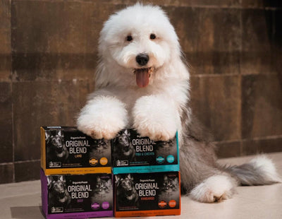 Organic Paws Frozen Raw Original Blend - Beef - Non-prescription Dog Food - Organic Paws - Shop The Paw