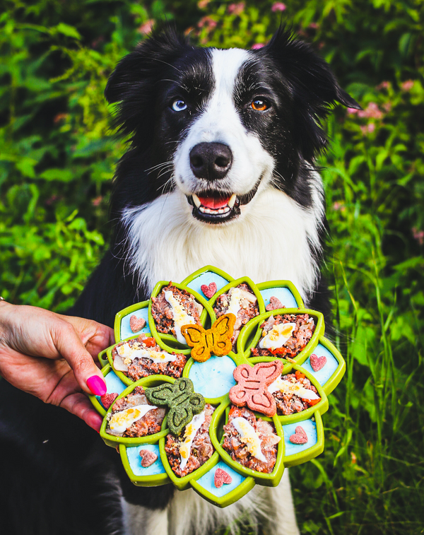 Sodapup - eTray (Enrichment Tray) - Mandala Pink - Toys - Sodapup - Shop The Paw